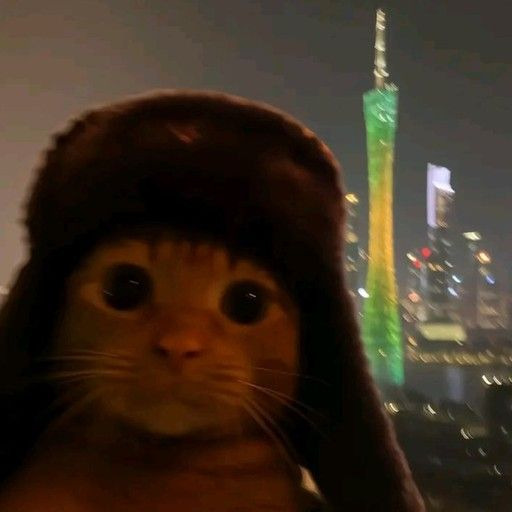 Администратор 